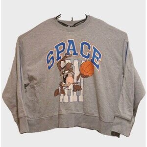 H&M Divided Space Jam Sweatshirt Womens XL Gray Taz Tasmanian Devil Cropped Fit